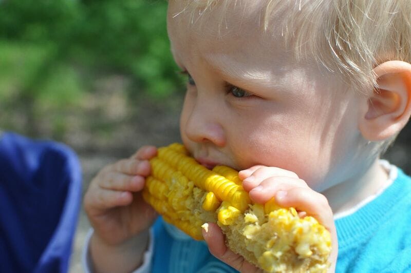 Corn Slipping Back Early on Wednesday