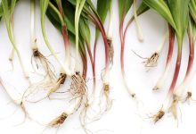 What Are Ramps? How to Buy, Store, and Cook Them
