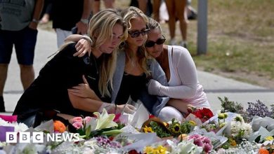 Bondi Beach shooting: Royal commission interim report says gun reform should be prioritised