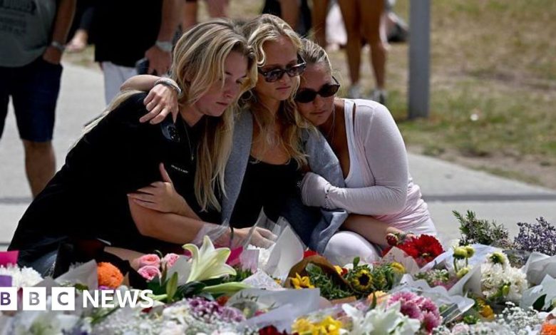 Bondi Beach shooting: Royal commission interim report says gun reform should be prioritised