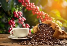 Brazilian Real Weakness Slams Coffee Prices