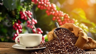 Brazilian Real Weakness Slams Coffee Prices