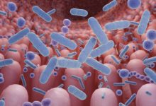 Gut health: why food alone won’t fix childhood stunting