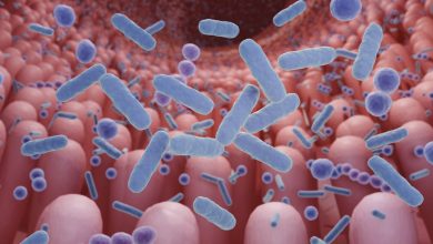 Gut health: why food alone won’t fix childhood stunting
