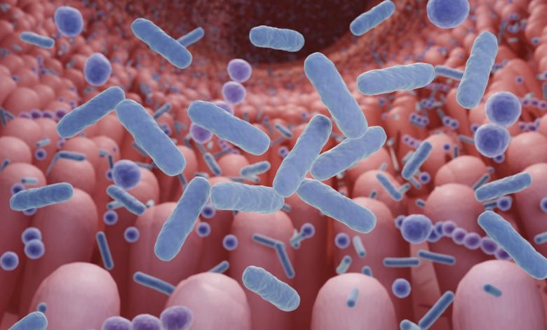 Gut health: why food alone won’t fix childhood stunting