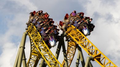 Amusement park accidents seem more frequent — should fans run away scared as thrill rides are pushed to the limit?