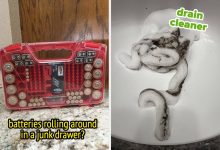 There’s Not A Lot That Makes Sense These Days, But Buying These 30 Cheap Problem-Solvers Makes A Lot Of Sense