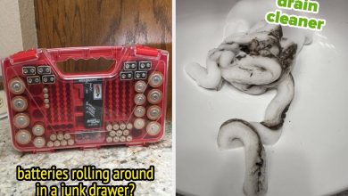 There’s Not A Lot That Makes Sense These Days, But Buying These 30 Cheap Problem-Solvers Makes A Lot Of Sense