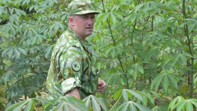 Carbon cowboys and unpaid pledges: Ex-Gabon environment minister Lee White on conservation in Africa