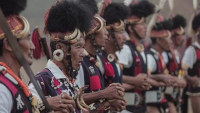 In India’s Nagaland, communities turn to Indigenous law to protect pangolins