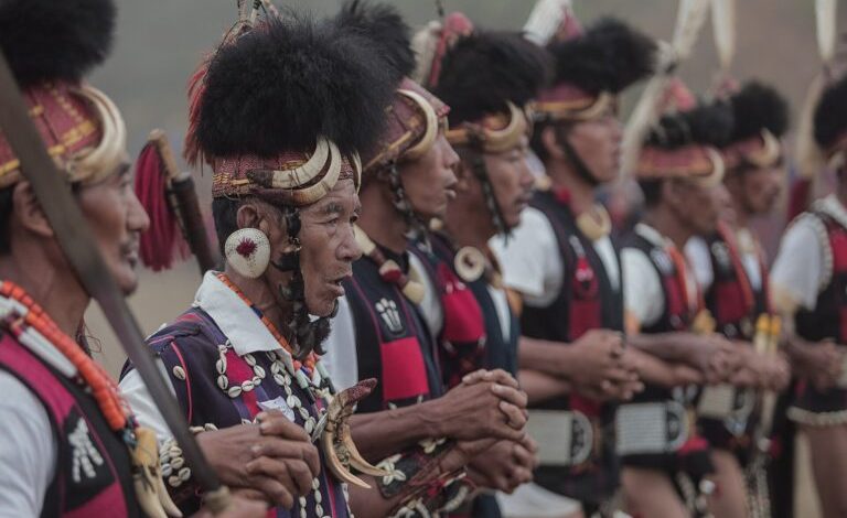 In India’s Nagaland, communities turn to Indigenous law to protect pangolins