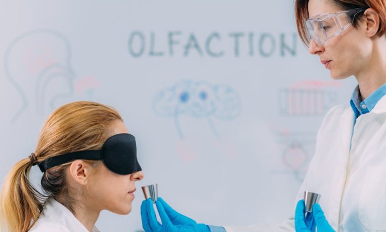 Why humans care so much about body odour, and what it really tells us