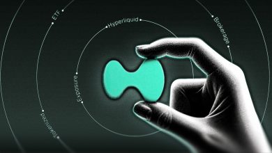 Bitwise Leader Thinks Hyperliquid is Bigger Than the Crypto Market