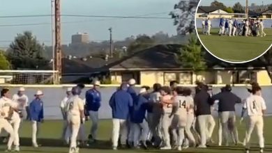 Walk-off celebration turns violent in La Salle-Bishop Amat HS baseball game
