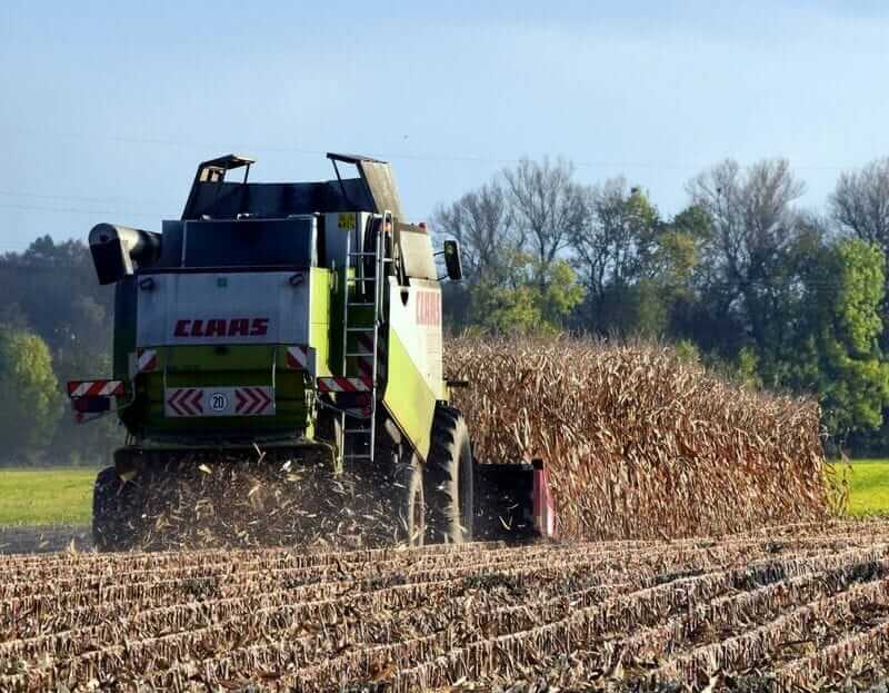 Corn Posting Gains to Round Out the Week
