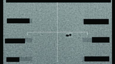 ‘Make up their own minds’: Pentagon releases first tranche of UFO files