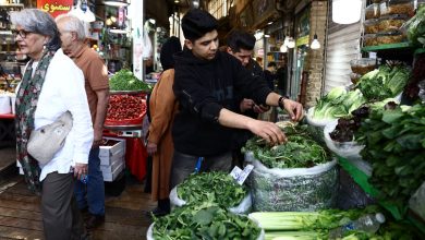 Food inflation hammers households in war-hit Iran