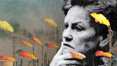Hanson’s gas policy follows the far-right playbook: attack ‘elites’ and push for drilling