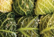 This New Cookbook by the Founder of Ghia Will Transport You Straight to a Mediterranean Summer
