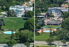 How the White House Lawn Will Be Restored After UFC Event