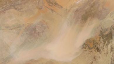 49 people dead in Sahara Desert after truck breaks down