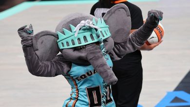 The Uplift: Ellie the elephant