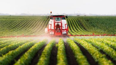 To achieve ‘AI for all’ in agriculture, Canada’s farmers need regional, systems-level change