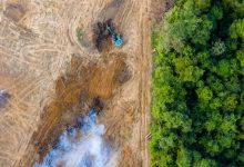 Amazon deforestation is falling, but progress is stalling