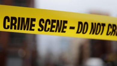Five Americans arrested after scuffle at cruise port in Bahamas