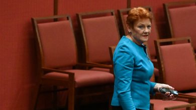 Latest polls still have One Nation leading on primary votes, but not gaining