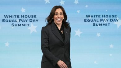 Kamala Harris, VP to Joe Biden, Delivers Case Study in Projection With Epic Trump Meltdown in Austria