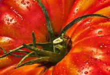 What Are Heirloom Tomatoes? A Complete Guide
