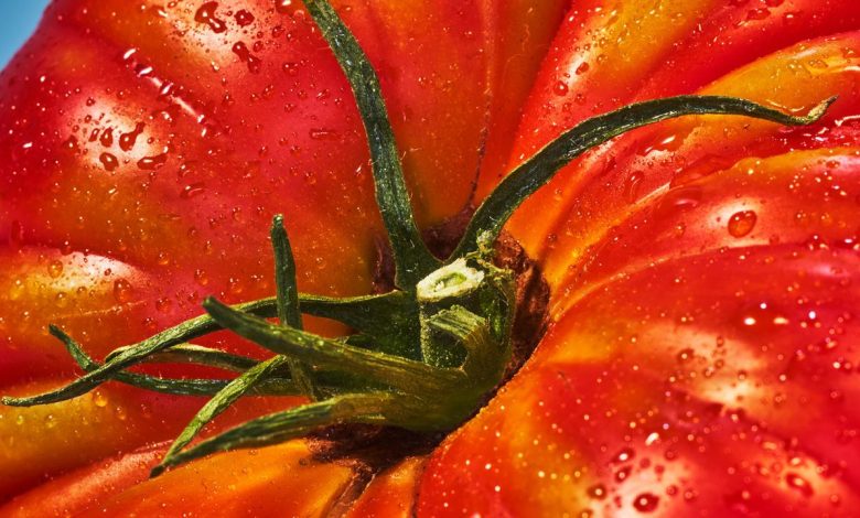 What Are Heirloom Tomatoes? A Complete Guide