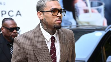 Chris Brown Testifies in Housekeeper Dog Bite Trial, Says He Left Scene to Avoid Media ‘Circus’