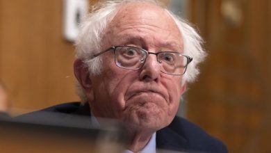Feel the Bern Fail: Sanders Bill Would Seize 50 Percent of AI Stock