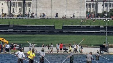 Trump, citing vandalism, says pool repairs to begin ‘immediately’