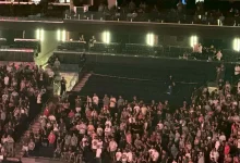 Man Falls to His Death from Upper Level at Madison Square Garden During Goose Concert