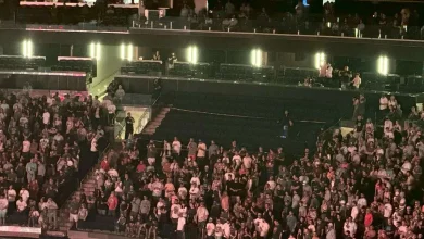 Man Falls to His Death from Upper Level at Madison Square Garden During Goose Concert