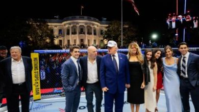 Two more men arrested in alleged White House UFC attack plot