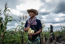 Indigenous people in Cambodia claim they’re blocked from sacred sites
