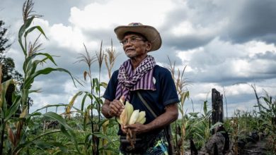 Indigenous people in Cambodia claim they’re blocked from sacred sites
