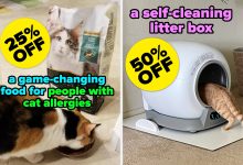 As Someone With Multiple Cats, Here Are The 26 Prime Day Pet Deals I Think Are Worth It