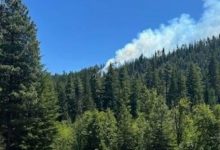 Fighter jet crashes in Washington state, sparking wildfire