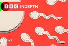 What we miss when we ignore male infertility
