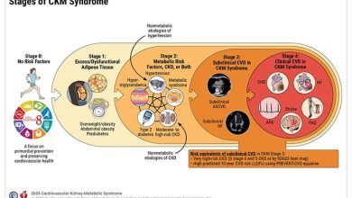 2026 AHA/ACC/ADA/ASN Guideline for the Prevention, Detection, Evaluation, and Management of Cardiovascular-Kidney-Metabolic Syndrome