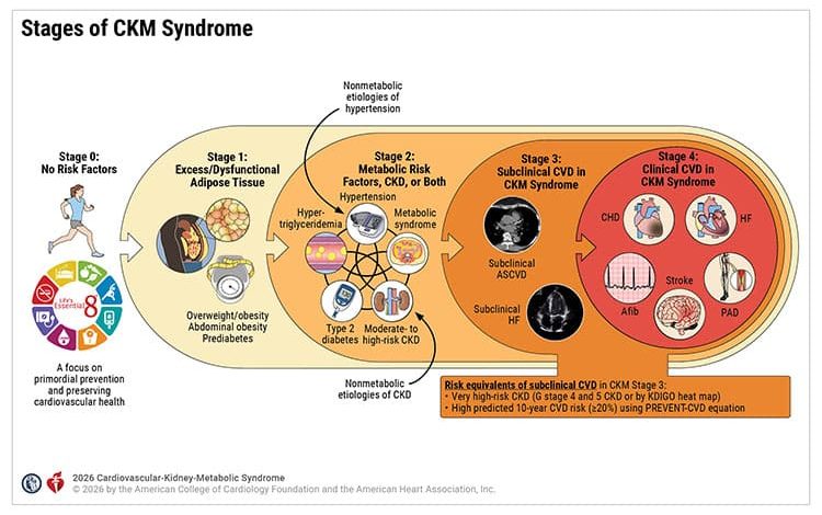 2026 AHA/ACC/ADA/ASN Guideline for the Prevention, Detection, Evaluation, and Management of Cardiovascular-Kidney-Metabolic Syndrome