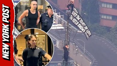 Kissing daredevils arrested after Empire State Building proposal stunt