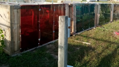 Agrivoltaic cold frame system for controlled-environment crop cultivation