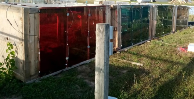 Agrivoltaic cold frame system for controlled-environment crop cultivation