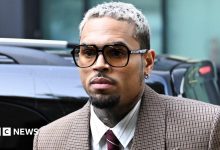 Chris Brown ordered to pay housekeeper $13m after dog attack
